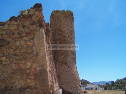 Castillo de Mazarrón 2007